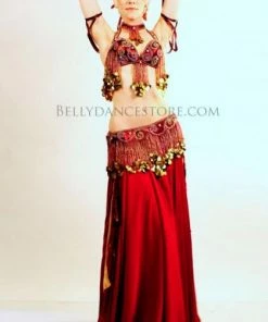 Bellydance Nabila Costume 12388 Costumes