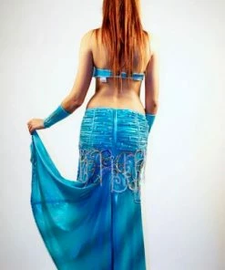 Bellydance Nabila Costume 14084 Costumes