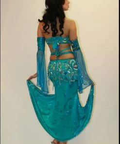 Bellydance Egyptian Bloom Collection Costume 18815 Costumes