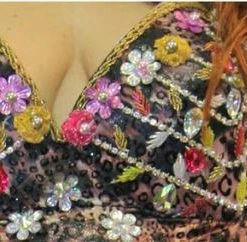 Bellydance PLUS SIZE DRESS 19110