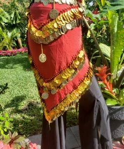 Scarves Hip Scarves Hip Scarf 24983