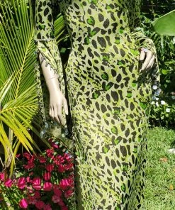 Bellydance Folkloric Saidi