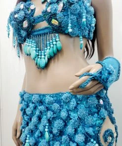 Bellydance Nabila Costume 25120 Costumes