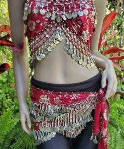 Bellydance Hip Scarves 25174