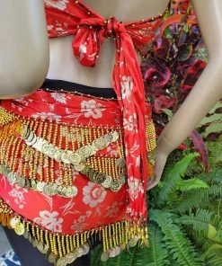 Bellydance Hip Scarves 25177