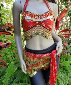 Bellydance Hip Scarves 25177