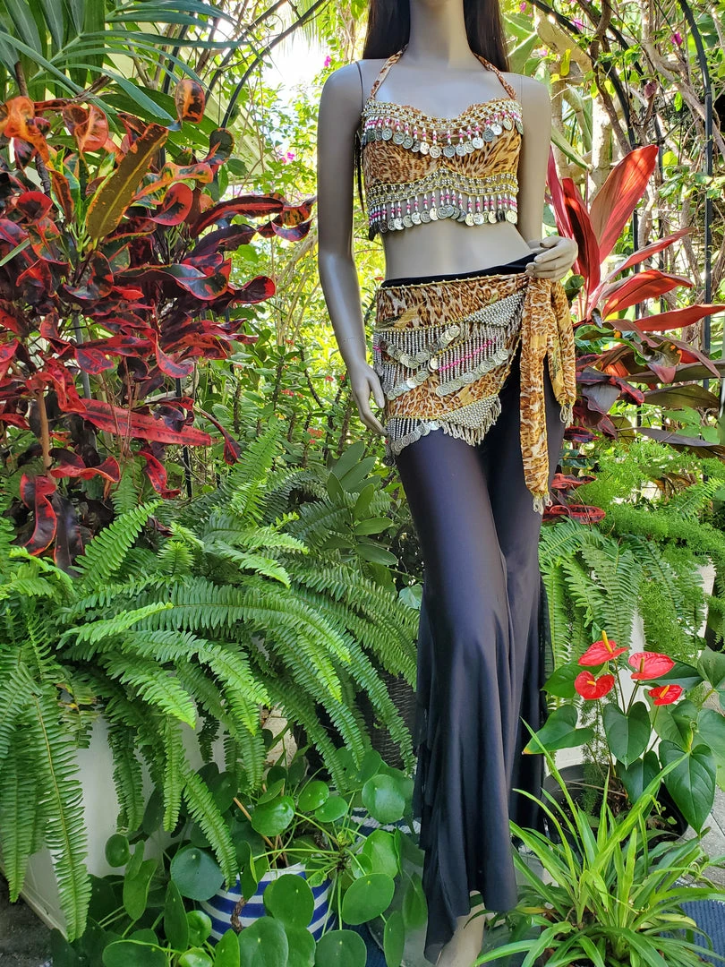 Bellydance Hip Scarves 25178 6 Bellydance Hip Scarves 25178