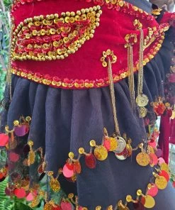 Bellydance Hip Scarf 25180 Hip Scarves