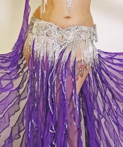 Bellydance Bra And Belt Set