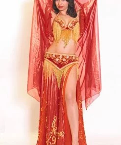 Mumtaz Bra And Belt Set 22705