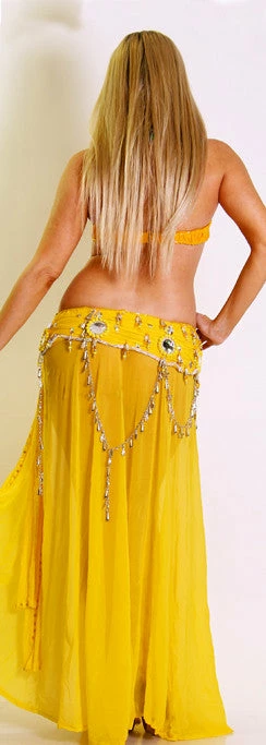 Bellydance Costumes BDS Couture 4 Bellydance Costumes BDS Couture