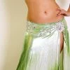 Bellydance Costumes BDS Couture