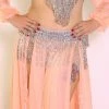 Bellydance Ice Collection (DDDD)