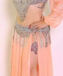 Bellydance Ice Collection (DDDD)