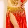 Bellydance Bra&Belts GOLD ICE COLLECTION (DDD)