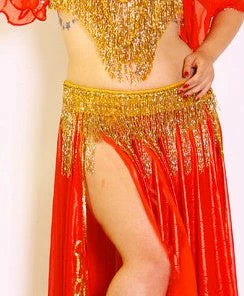 Bellydance Bra&Belts GOLD ICE COLLECTION (DDD)