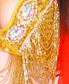 Bellydance Bra&Belts Liquid Gold (DDD)