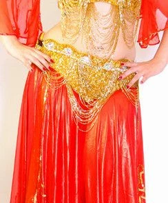 Bellydance Bra&Belts Liquid Gold (DDD)