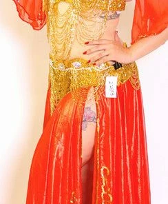 Bellydance Liquid Gold (DDDD) Bra&Belts