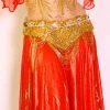 Bellydance Bra&Belts Liquid Gold (DDD)