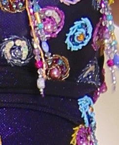 Bellydance Plus Size Gorgeous Collection Dress