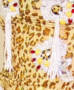 Bellydance Gorgeous Collection Dress