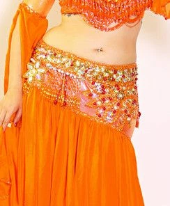 Bellydance Nabila Costume Costumes