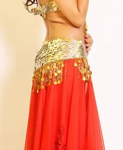 Bellydance Coin Bra And Belt Set (B) 23049
