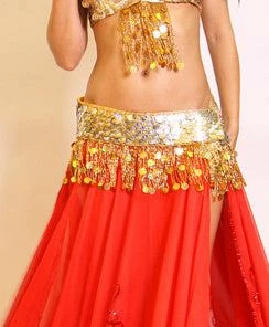 Bellydance Coin Bra And Belt Set (B) 23049
