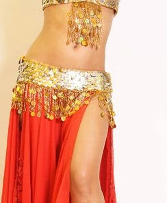 Bellydance Coin Bra And Belt Set (B) 23049