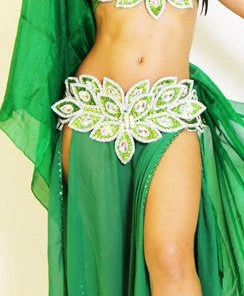 Bellydance Eve Collection Bra And Belt Bra&Belts