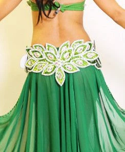Bellydance Eve Collection Bra And Belt Bra&Belts