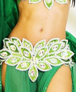 Bellydance Eve Collection Bra And Belt Bra&Belts