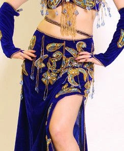 Bellydance Nabila Costume Costumes