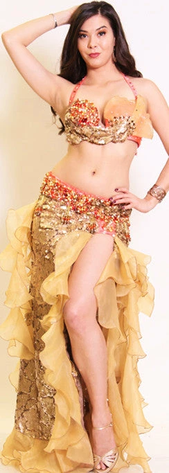 Bellydance Costumes Costume 4 Bellydance Costumes Costume