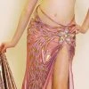 Bellydance Costumes Costume