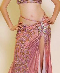Bellydance Costumes Costume