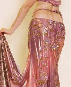 Bellydance Costumes Costume