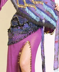 Bellydance Hip Scarf Hip Scarves