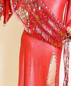 Bellydance Hip Scarf Hip Scarves