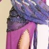 Bellydance Hip Scarf