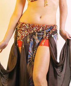 Bellydance Floral Dream Costume Costumes