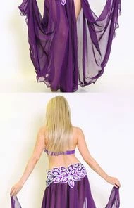 Bellydance Eve Collection Bra And Belt 25108 Bra&Belts