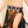 Bellydance Costumes Floral Dream Costume