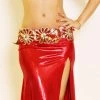 Bellydance Costume