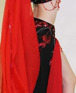 Pharaonics Of Egypt Costume Costumes