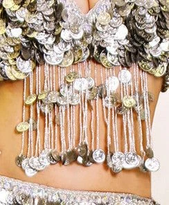 Bellydance Bra&Belts Silver Coin Collection (A) 23637