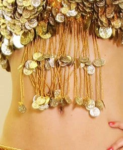 Bellydance Bra&Belts Gold Coin Collection (C)