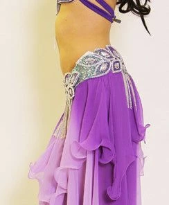 Bellydance Eve Collection Bra And Belt Bra&Belts