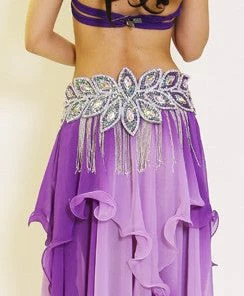 Bellydance Eve Collection Bra And Belt Bra&Belts